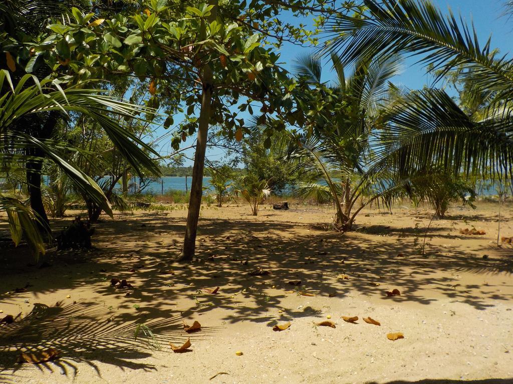 Reef Pasikudah Hotel Nachivantivu Ngoại thất bức ảnh